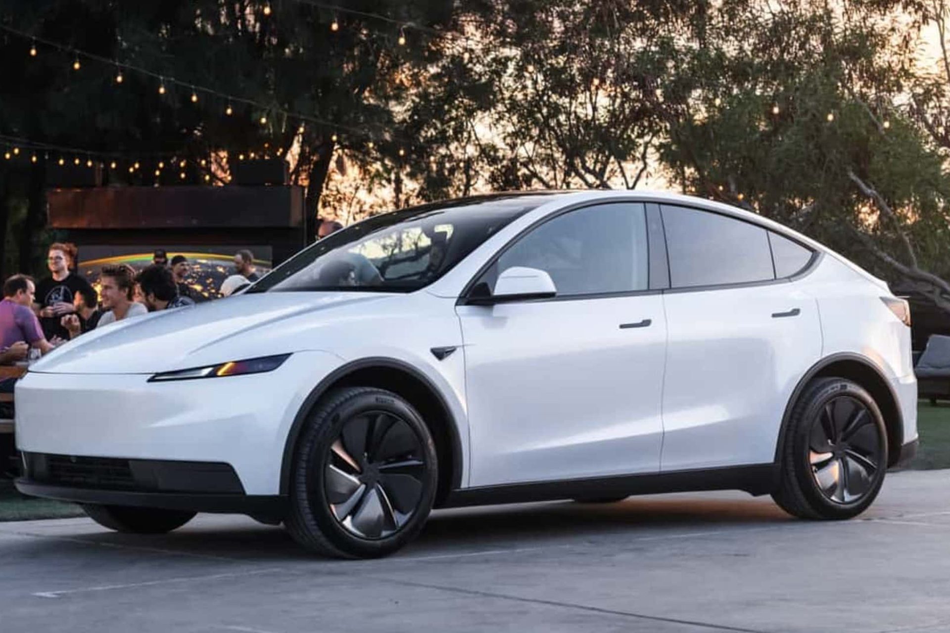 Tesla Model Y Standard under the trees