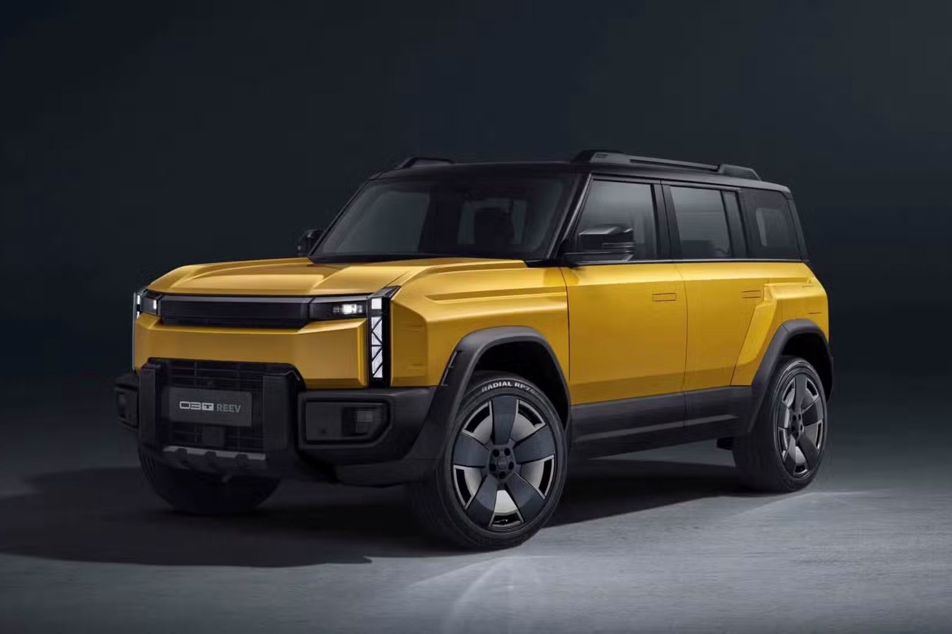 Chery Fulwin in yellow